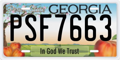 GA license plate PSF7663