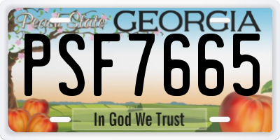 GA license plate PSF7665