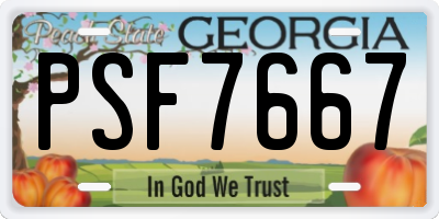 GA license plate PSF7667