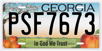 GA license plate PSF7673