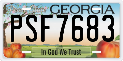 GA license plate PSF7683