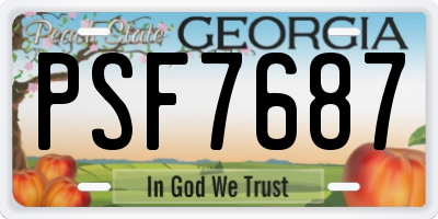 GA license plate PSF7687