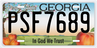 GA license plate PSF7689