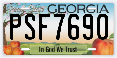 GA license plate PSF7690
