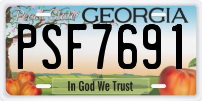 GA license plate PSF7691