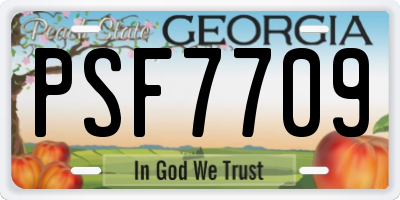 GA license plate PSF7709
