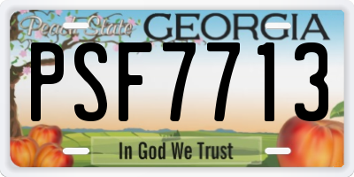 GA license plate PSF7713