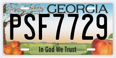 GA license plate PSF7729