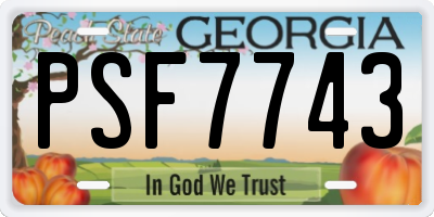 GA license plate PSF7743