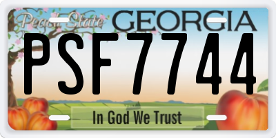 GA license plate PSF7744