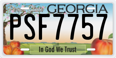 GA license plate PSF7757
