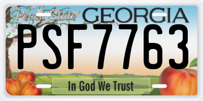 GA license plate PSF7763