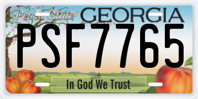 GA license plate PSF7765