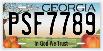 GA license plate PSF7789