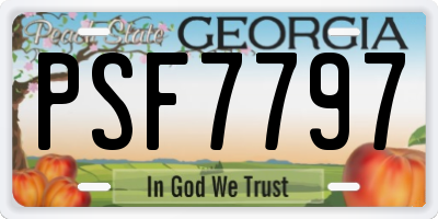GA license plate PSF7797