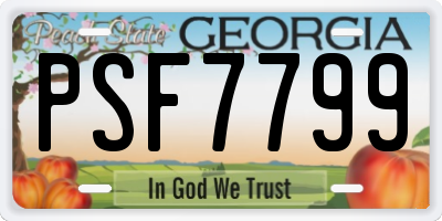 GA license plate PSF7799