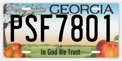 GA license plate PSF7801