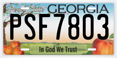 GA license plate PSF7803