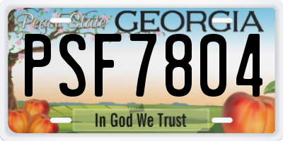 GA license plate PSF7804