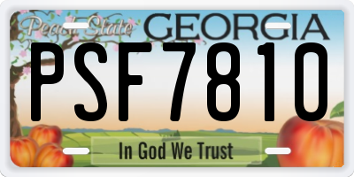 GA license plate PSF7810