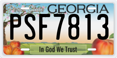 GA license plate PSF7813