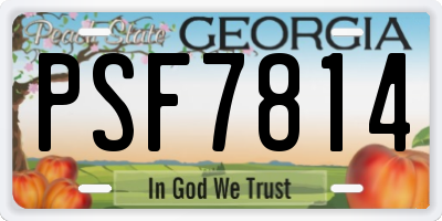 GA license plate PSF7814