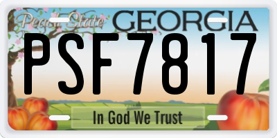 GA license plate PSF7817