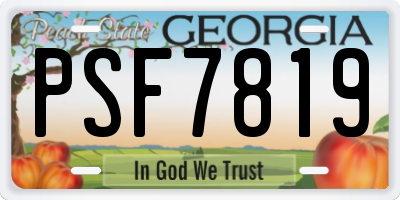 GA license plate PSF7819