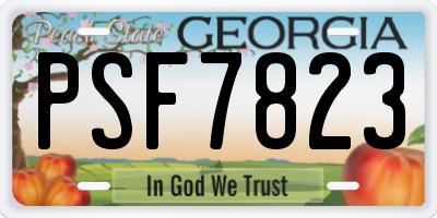 GA license plate PSF7823