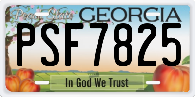 GA license plate PSF7825