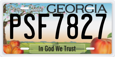 GA license plate PSF7827