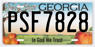GA license plate PSF7828
