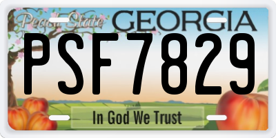GA license plate PSF7829