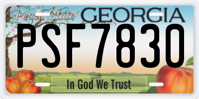 GA license plate PSF7830