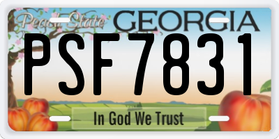 GA license plate PSF7831