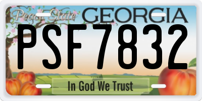 GA license plate PSF7832