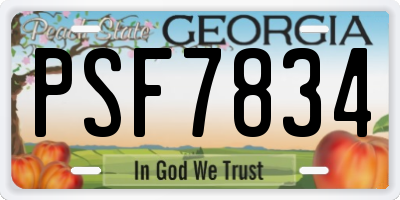 GA license plate PSF7834