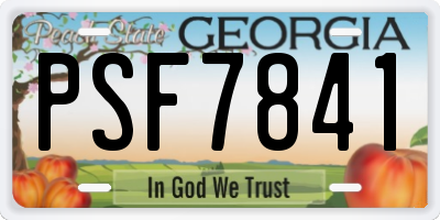 GA license plate PSF7841