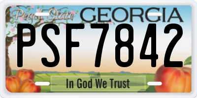 GA license plate PSF7842