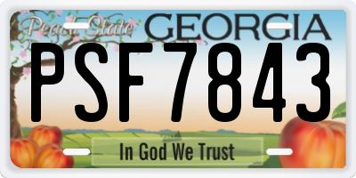 GA license plate PSF7843