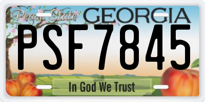 GA license plate PSF7845