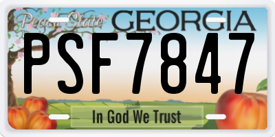 GA license plate PSF7847