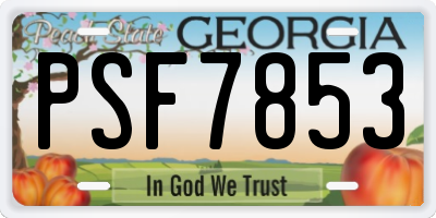 GA license plate PSF7853