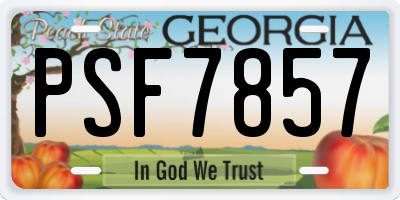 GA license plate PSF7857