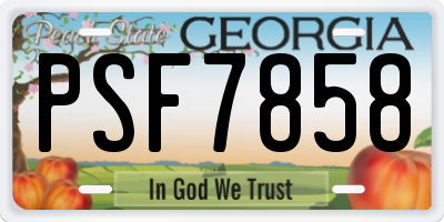 GA license plate PSF7858