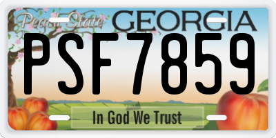 GA license plate PSF7859
