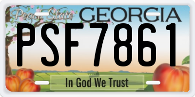 GA license plate PSF7861