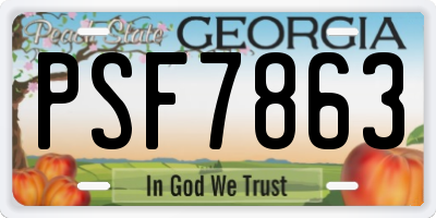 GA license plate PSF7863