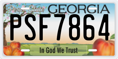 GA license plate PSF7864