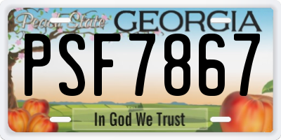 GA license plate PSF7867